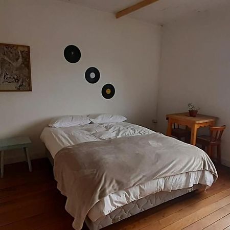 Casa Kila Hostel Valdivia Exteriér fotografie