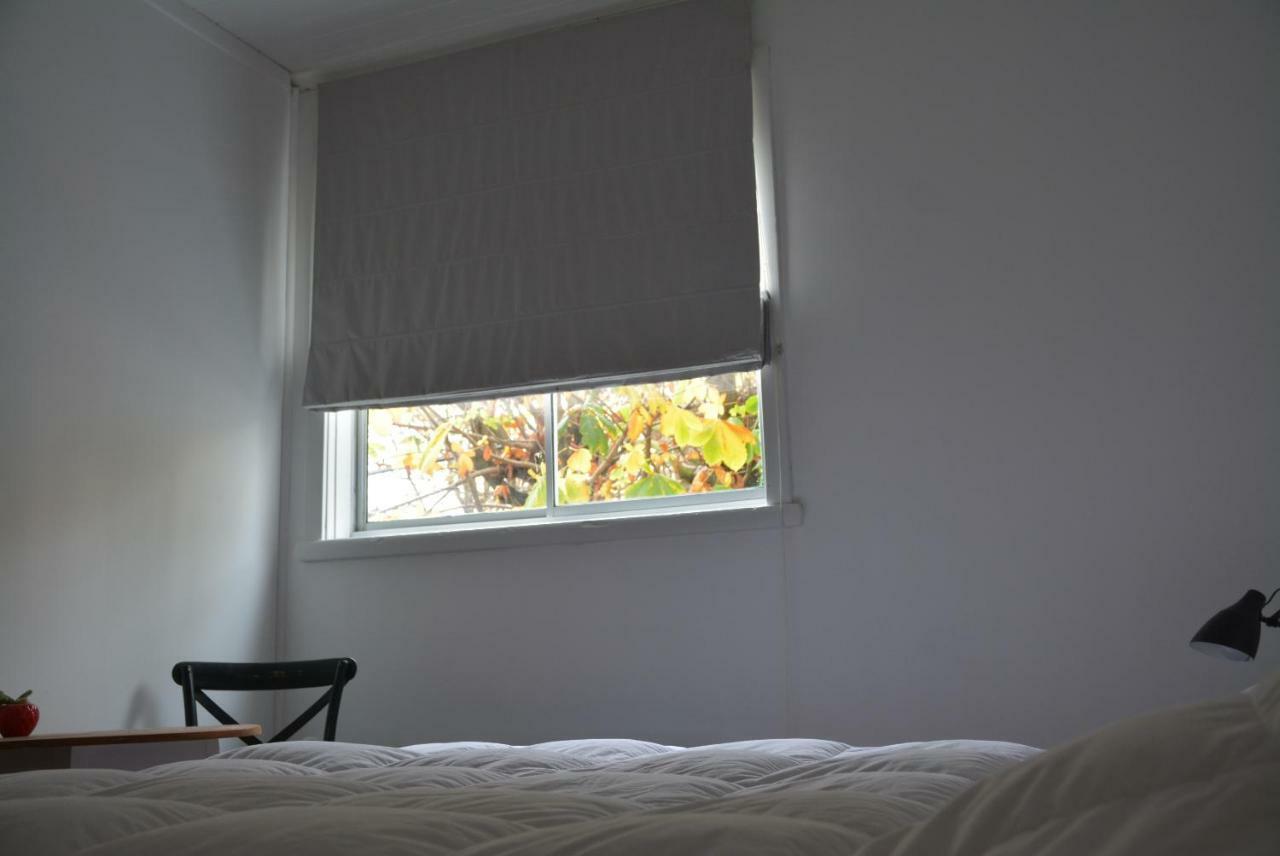 Casa Kila Hostel Valdivia Exteriér fotografie